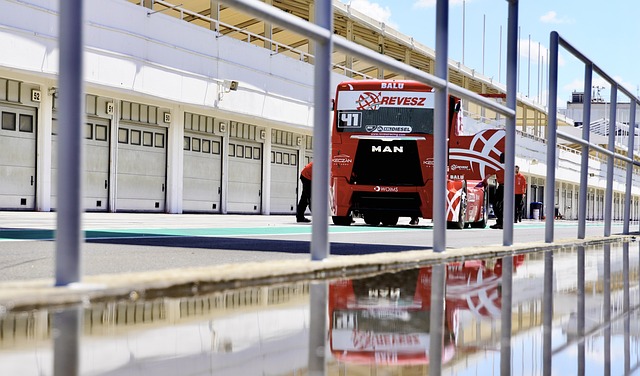 技战术水平 技战术水平