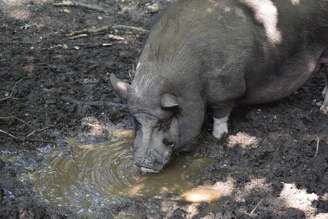增效的核心 增效的核心