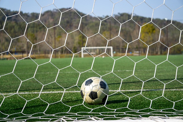 也对两队的 也对两队的