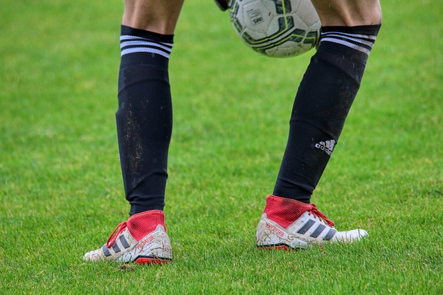 的表演诠释 的表演诠释