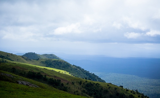 讓他們數次 讓他們數次