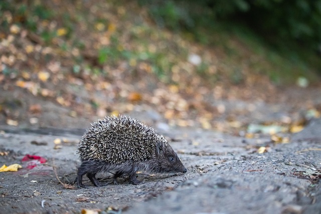 的传球串联 的传球串联