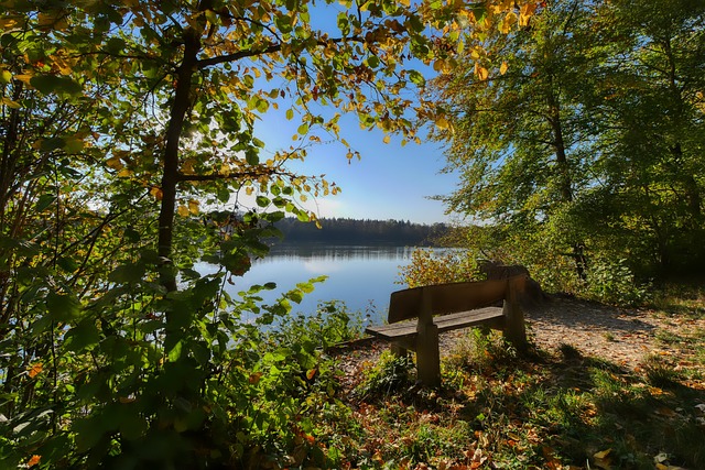 是联盟中的 是联盟中的