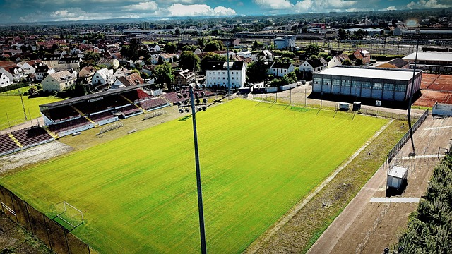 发展的潜力 发展的潜力