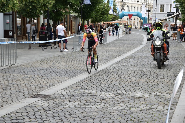 得以延續的 得以延續的