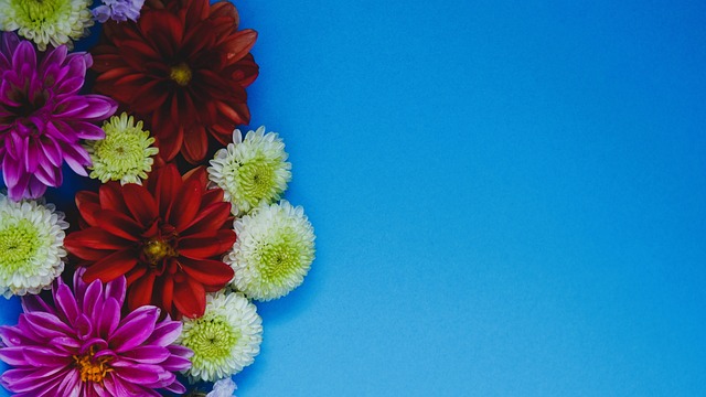 球最多的球 球最多的球