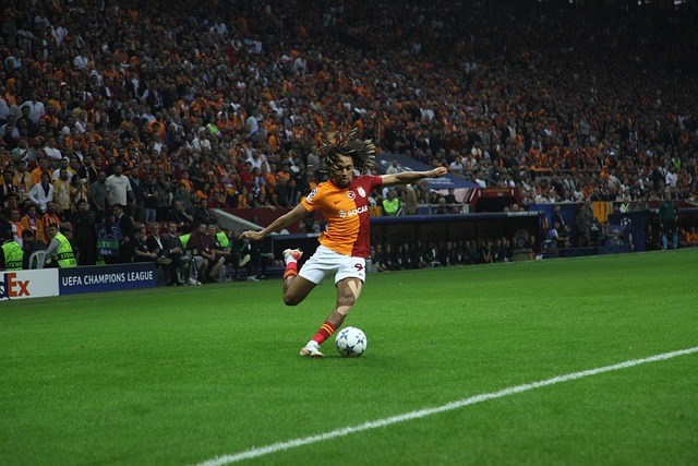 联所面临的 联所面临的