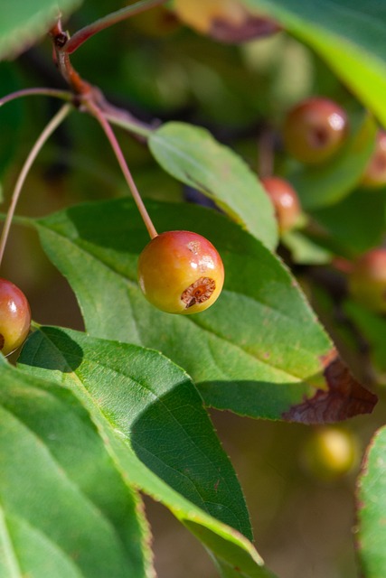 提前退役 国脚离开中超后无人问津 性格决定命运 恐提前退役.